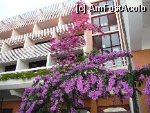 [P01] Hotel Biokovska » foto by bounceone
 - 
<span class="allrVoted glyphicon glyphicon-heart hidden" id="av2522"></span>
<a class="m-l-10 hidden" id="sv2522" onclick="voting_Foto_DelVot(,2522,1007)" role="button">șterge vot <span class="glyphicon glyphicon-remove"></span></a>
<a id="v92522" class=" c-red"  onclick="voting_Foto_SetVot(2522)" role="button"><span class="glyphicon glyphicon-heart-empty"></span> <b>LIKE</b> = Votează poza</a> <img class="hidden"  id="f2522W9" src="/imagini/loader.gif" border="0" /><span class="AjErrMes hidden" id="e2522ErM"></span>