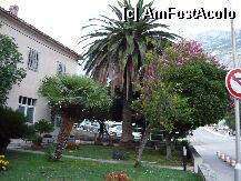 [P04] Prin Makarska » foto by bounceone
 - 
<span class="allrVoted glyphicon glyphicon-heart hidden" id="av2525"></span>
<a class="m-l-10 hidden" id="sv2525" onclick="voting_Foto_DelVot(,2525,1007)" role="button">șterge vot <span class="glyphicon glyphicon-remove"></span></a>
<a id="v92525" class=" c-red"  onclick="voting_Foto_SetVot(2525)" role="button"><span class="glyphicon glyphicon-heart-empty"></span> <b>LIKE</b> = Votează poza</a> <img class="hidden"  id="f2525W9" src="/imagini/loader.gif" border="0" /><span class="AjErrMes hidden" id="e2525ErM"></span>