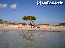 [P32] Karidi Beach » foto by edygilet74
 - 
<span class="allrVoted glyphicon glyphicon-heart hidden" id="av4866"></span>
<a class="m-l-10 hidden" id="sv4866" onclick="voting_Foto_DelVot(,4866,1265)" role="button">șterge vot <span class="glyphicon glyphicon-remove"></span></a>
<a id="v94866" class=" c-red"  onclick="voting_Foto_SetVot(4866)" role="button"><span class="glyphicon glyphicon-heart-empty"></span> <b>LIKE</b> = Votează poza</a> <img class="hidden"  id="f4866W9" src="/imagini/loader.gif" border="0" /><span class="AjErrMes hidden" id="e4866ErM"></span>
