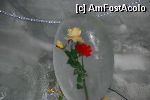 [P14]  -- <small>// FĂRĂ DESCRIERE</small> » foto by mariana
 - 
<span class="allrVoted glyphicon glyphicon-heart hidden" id="av4983"></span>
<a class="m-l-10 hidden" id="sv4983" onclick="voting_Foto_DelVot(,4983,1568)" role="button">șterge vot <span class="glyphicon glyphicon-remove"></span></a>
<a id="v94983" class=" c-red"  onclick="voting_Foto_SetVot(4983)" role="button"><span class="glyphicon glyphicon-heart-empty"></span> <b>LIKE</b> = Votează poza</a> <img class="hidden"  id="f4983W9" src="/imagini/loader.gif" border="0" /><span class="AjErrMes hidden" id="e4983ErM"></span>
