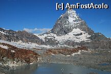 [P04]  -- <small>// FĂRĂ DESCRIERE</small> » foto by mariana
 - 
<span class="allrVoted glyphicon glyphicon-heart hidden" id="av4973"></span>
<a class="m-l-10 hidden" id="sv4973" onclick="voting_Foto_DelVot(,4973,1568)" role="button">șterge vot <span class="glyphicon glyphicon-remove"></span></a>
<a id="v94973" class=" c-red"  onclick="voting_Foto_SetVot(4973)" role="button"><span class="glyphicon glyphicon-heart-empty"></span> <b>LIKE</b> = Votează poza</a> <img class="hidden"  id="f4973W9" src="/imagini/loader.gif" border="0" /><span class="AjErrMes hidden" id="e4973ErM"></span>