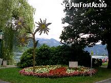[P17] Aranjamente florale in Zell am See, pa malul lacului. » foto by doina_c24
 - 
<span class="allrVoted glyphicon glyphicon-heart hidden" id="av195134"></span>
<a class="m-l-10 hidden" id="sv195134" onclick="voting_Foto_DelVot(,195134,1674)" role="button">șterge vot <span class="glyphicon glyphicon-remove"></span></a>
<a id="v9195134" class=" c-red"  onclick="voting_Foto_SetVot(195134)" role="button"><span class="glyphicon glyphicon-heart-empty"></span> <b>LIKE</b> = Votează poza</a> <img class="hidden"  id="f195134W9" src="/imagini/loader.gif" border="0" /><span class="AjErrMes hidden" id="e195134ErM"></span>