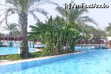 [P02] una dintre piscine... » foto by simonaflp
 - 
<span class="allrVoted glyphicon glyphicon-heart hidden" id="av7265"></span>
<a class="m-l-10 hidden" id="sv7265" onclick="voting_Foto_DelVot(,7265,173)" role="button">șterge vot <span class="glyphicon glyphicon-remove"></span></a>
<a id="v97265" class=" c-red"  onclick="voting_Foto_SetVot(7265)" role="button"><span class="glyphicon glyphicon-heart-empty"></span> <b>LIKE</b> = Votează poza</a> <img class="hidden"  id="f7265W9" src="/imagini/loader.gif" border="0" /><span class="AjErrMes hidden" id="e7265ErM"></span>