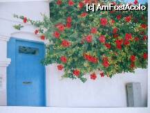 [P24] asa ceva vezi la tot pasul in Amorgos » foto by Cristian_h
 - 
<span class="allrVoted glyphicon glyphicon-heart hidden" id="av32255"></span>
<a class="m-l-10 hidden" id="sv32255" onclick="voting_Foto_DelVot(,32255,2089)" role="button">șterge vot <span class="glyphicon glyphicon-remove"></span></a>
<a id="v932255" class=" c-red"  onclick="voting_Foto_SetVot(32255)" role="button"><span class="glyphicon glyphicon-heart-empty"></span> <b>LIKE</b> = Votează poza</a> <img class="hidden"  id="f32255W9" src="/imagini/loader.gif" border="0" /><span class="AjErrMes hidden" id="e32255ErM"></span>