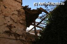 [P11x] Tufisul lui Moise in jurul caruia sa construit manastirea Saint Catherine » foto by zogo*
 - 
<span class="allrVoted glyphicon glyphicon-heart hidden" id="av7247"></span>
<a class="m-l-10 hidden" id="sv7247" onclick="voting_Foto_DelVot(,7247,2349)" role="button">șterge vot <span class="glyphicon glyphicon-remove"></span></a>
<a id="v97247" class=" c-red"  onclick="voting_Foto_SetVot(7247)" role="button"><span class="glyphicon glyphicon-heart-empty"></span> <b>LIKE</b> = Votează poza</a> <img class="hidden"  id="f7247W9" src="/imagini/loader.gif" border="0" /><span class="AjErrMes hidden" id="e7247ErM"></span>