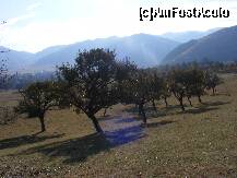 [P06] Dealul cu meri din spatele hotelului » foto by raluca1301
 - 
<span class="allrVoted glyphicon glyphicon-heart hidden" id="av274843"></span>
<a class="m-l-10 hidden" id="sv274843" onclick="voting_Foto_DelVot(,274843,2367)" role="button">șterge vot <span class="glyphicon glyphicon-remove"></span></a>
<a id="v9274843" class=" c-red"  onclick="voting_Foto_SetVot(274843)" role="button"><span class="glyphicon glyphicon-heart-empty"></span> <b>LIKE</b> = Votează poza</a> <img class="hidden"  id="f274843W9" src="/imagini/loader.gif" border="0" /><span class="AjErrMes hidden" id="e274843ErM"></span>