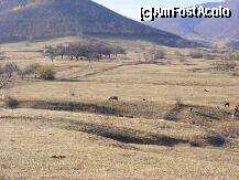 [P07] Superb! Vacute la pascut imediat in apropierea hotelului. » foto by raluca1301
 - 
<span class="allrVoted glyphicon glyphicon-heart hidden" id="av274844"></span>
<a class="m-l-10 hidden" id="sv274844" onclick="voting_Foto_DelVot(,274844,2367)" role="button">șterge vot <span class="glyphicon glyphicon-remove"></span></a>
<a id="v9274844" class=" c-red"  onclick="voting_Foto_SetVot(274844)" role="button"><span class="glyphicon glyphicon-heart-empty"></span> <b>LIKE</b> = Votează poza</a> <img class="hidden"  id="f274844W9" src="/imagini/loader.gif" border="0" /><span class="AjErrMes hidden" id="e274844ErM"></span>