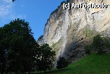 [P04]  -- <small>// FĂRĂ DESCRIERE</small> » foto by mariana
 - 
<span class="allrVoted glyphicon glyphicon-heart hidden" id="av7343"></span>
<a class="m-l-10 hidden" id="sv7343" onclick="voting_Foto_DelVot(,7343,2383)" role="button">șterge vot <span class="glyphicon glyphicon-remove"></span></a>
<a id="v97343" class=" c-red"  onclick="voting_Foto_SetVot(7343)" role="button"><span class="glyphicon glyphicon-heart-empty"></span> <b>LIKE</b> = Votează poza</a> <img class="hidden"  id="f7343W9" src="/imagini/loader.gif" border="0" /><span class="AjErrMes hidden" id="e7343ErM"></span>