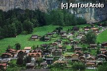 [P06]  -- <small>// FĂRĂ DESCRIERE</small> » foto by mariana
 - 
<span class="allrVoted glyphicon glyphicon-heart hidden" id="av7345"></span>
<a class="m-l-10 hidden" id="sv7345" onclick="voting_Foto_DelVot(,7345,2383)" role="button">șterge vot <span class="glyphicon glyphicon-remove"></span></a>
<a id="v97345" class=" c-red"  onclick="voting_Foto_SetVot(7345)" role="button"><span class="glyphicon glyphicon-heart-empty"></span> <b>LIKE</b> = Votează poza</a> <img class="hidden"  id="f7345W9" src="/imagini/loader.gif" border="0" /><span class="AjErrMes hidden" id="e7345ErM"></span>
