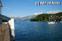 [P3x] lacul thun » foto by mariana
 - 
<span class="allrVoted glyphicon glyphicon-heart hidden" id="av7361"></span>
<a class="m-l-10 hidden" id="sv7361" onclick="voting_Foto_DelVot(,7361,2386)" role="button">șterge vot <span class="glyphicon glyphicon-remove"></span></a>
<a id="v97361" class=" c-red"  onclick="voting_Foto_SetVot(7361)" role="button"><span class="glyphicon glyphicon-heart-empty"></span> <b>LIKE</b> = Votează poza</a> <img class="hidden"  id="f7361W9" src="/imagini/loader.gif" border="0" /><span class="AjErrMes hidden" id="e7361ErM"></span>