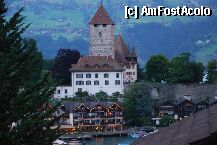 [P6x] spiez » foto by mariana
 - 
<span class="allrVoted glyphicon glyphicon-heart hidden" id="av7364"></span>
<a class="m-l-10 hidden" id="sv7364" onclick="voting_Foto_DelVot(,7364,2386)" role="button">șterge vot <span class="glyphicon glyphicon-remove"></span></a>
<a id="v97364" class=" c-red"  onclick="voting_Foto_SetVot(7364)" role="button"><span class="glyphicon glyphicon-heart-empty"></span> <b>LIKE</b> = Votează poza</a> <img class="hidden"  id="f7364W9" src="/imagini/loader.gif" border="0" /><span class="AjErrMes hidden" id="e7364ErM"></span>