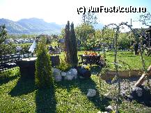 [P15]  -- <small>// FĂRĂ DESCRIERE</small> » foto by Catmar
 - 
<span class="allrVoted glyphicon glyphicon-heart hidden" id="av8338"></span>
<a class="m-l-10 hidden" id="sv8338" onclick="voting_Foto_DelVot(,8338,2589)" role="button">șterge vot <span class="glyphicon glyphicon-remove"></span></a>
<a id="v98338" class=" c-red"  onclick="voting_Foto_SetVot(8338)" role="button"><span class="glyphicon glyphicon-heart-empty"></span> <b>LIKE</b> = Votează poza</a> <img class="hidden"  id="f8338W9" src="/imagini/loader.gif" border="0" /><span class="AjErrMes hidden" id="e8338ErM"></span>