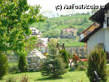 [P05]  -- <small>// FĂRĂ DESCRIERE</small> » foto by Catmar
 - 
<span class="allrVoted glyphicon glyphicon-heart hidden" id="av8328"></span>
<a class="m-l-10 hidden" id="sv8328" onclick="voting_Foto_DelVot(,8328,2589)" role="button">șterge vot <span class="glyphicon glyphicon-remove"></span></a>
<a id="v98328" class=" c-red"  onclick="voting_Foto_SetVot(8328)" role="button"><span class="glyphicon glyphicon-heart-empty"></span> <b>LIKE</b> = Votează poza</a> <img class="hidden"  id="f8328W9" src="/imagini/loader.gif" border="0" /><span class="AjErrMes hidden" id="e8328ErM"></span>