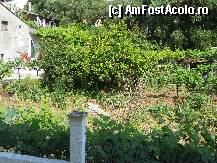 [P21] in spatele hotelului,o gospodarie cu gaini si cocosi,iar in fata un lamai » foto by sniga
 - 
<span class="allrVoted glyphicon glyphicon-heart hidden" id="av206491"></span>
<a class="m-l-10 hidden" id="sv206491" onclick="voting_Foto_DelVot(,206491,2717)" role="button">șterge vot <span class="glyphicon glyphicon-remove"></span></a>
<a id="v9206491" class=" c-red"  onclick="voting_Foto_SetVot(206491)" role="button"><span class="glyphicon glyphicon-heart-empty"></span> <b>LIKE</b> = Votează poza</a> <img class="hidden"  id="f206491W9" src="/imagini/loader.gif" border="0" /><span class="AjErrMes hidden" id="e206491ErM"></span>