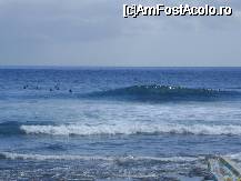 [P08] surferi in larg » foto by divio*
 - 
<span class="allrVoted glyphicon glyphicon-heart hidden" id="av16846"></span>
<a class="m-l-10 hidden" id="sv16846" onclick="voting_Foto_DelVot(,16846,2727)" role="button">șterge vot <span class="glyphicon glyphicon-remove"></span></a>
<a id="v916846" class=" c-red"  onclick="voting_Foto_SetVot(16846)" role="button"><span class="glyphicon glyphicon-heart-empty"></span> <b>LIKE</b> = Votează poza</a> <img class="hidden"  id="f16846W9" src="/imagini/loader.gif" border="0" /><span class="AjErrMes hidden" id="e16846ErM"></span>