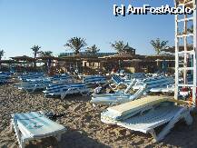 [P18] Sezlonguri la 6 dimineata . » foto by cronung
 - 
<span class="allrVoted glyphicon glyphicon-heart hidden" id="av21772"></span>
<a class="m-l-10 hidden" id="sv21772" onclick="voting_Foto_DelVot(,21772,2780)" role="button">șterge vot <span class="glyphicon glyphicon-remove"></span></a>
<a id="v921772" class=" c-red"  onclick="voting_Foto_SetVot(21772)" role="button"><span class="glyphicon glyphicon-heart-empty"></span> <b>LIKE</b> = Votează poza</a> <img class="hidden"  id="f21772W9" src="/imagini/loader.gif" border="0" /><span class="AjErrMes hidden" id="e21772ErM"></span>