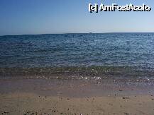 [P19] Plaja la 6 dimineata . » foto by cronung
 - 
<span class="allrVoted glyphicon glyphicon-heart hidden" id="av21773"></span>
<a class="m-l-10 hidden" id="sv21773" onclick="voting_Foto_DelVot(,21773,2780)" role="button">șterge vot <span class="glyphicon glyphicon-remove"></span></a>
<a id="v921773" class=" c-red"  onclick="voting_Foto_SetVot(21773)" role="button"><span class="glyphicon glyphicon-heart-empty"></span> <b>LIKE</b> = Votează poza</a> <img class="hidden"  id="f21773W9" src="/imagini/loader.gif" border="0" /><span class="AjErrMes hidden" id="e21773ErM"></span>