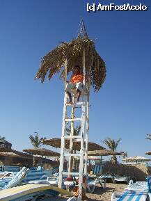 [P20] Salvamar . » foto by cronung
 - 
<span class="allrVoted glyphicon glyphicon-heart hidden" id="av21774"></span>
<a class="m-l-10 hidden" id="sv21774" onclick="voting_Foto_DelVot(,21774,2780)" role="button">șterge vot <span class="glyphicon glyphicon-remove"></span></a>
<a id="v921774" class=" c-red"  onclick="voting_Foto_SetVot(21774)" role="button"><span class="glyphicon glyphicon-heart-empty"></span> <b>LIKE</b> = Votează poza</a> <img class="hidden"  id="f21774W9" src="/imagini/loader.gif" border="0" /><span class="AjErrMes hidden" id="e21774ErM"></span>