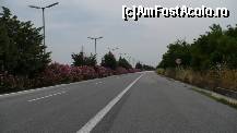 [P01] Autostrada din Grecia » foto by atti_sz
 - 
<span class="allrVoted glyphicon glyphicon-heart hidden" id="av168240"></span>
<a class="m-l-10 hidden" id="sv168240" onclick="voting_Foto_DelVot(,168240,2784)" role="button">șterge vot <span class="glyphicon glyphicon-remove"></span></a>
<a id="v9168240" class=" c-red"  onclick="voting_Foto_SetVot(168240)" role="button"><span class="glyphicon glyphicon-heart-empty"></span> <b>LIKE</b> = Votează poza</a> <img class="hidden"  id="f168240W9" src="/imagini/loader.gif" border="0" /><span class="AjErrMes hidden" id="e168240ErM"></span>
