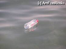 [P8x] cateodata mizeria de pe vapor ajunge spre plaja pentru ca plaja este vecina cu miniportul » foto by fmarusteri
 - 
<span class="allrVoted glyphicon glyphicon-heart hidden" id="av11120"></span>
<a class="m-l-10 hidden" id="sv11120" onclick="voting_Foto_DelVot(,11120,2828)" role="button">șterge vot <span class="glyphicon glyphicon-remove"></span></a>
<a id="v911120" class=" c-red"  onclick="voting_Foto_SetVot(11120)" role="button"><span class="glyphicon glyphicon-heart-empty"></span> <b>LIKE</b> = Votează poza</a> <img class="hidden"  id="f11120W9" src="/imagini/loader.gif" border="0" /><span class="AjErrMes hidden" id="e11120ErM"></span>