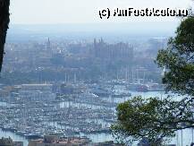 [P15] palma city de sus » foto by andreea 84
 - 
<span class="allrVoted glyphicon glyphicon-heart hidden" id="av11894"></span>
<a class="m-l-10 hidden" id="sv11894" onclick="voting_Foto_DelVot(,11894,2932)" role="button">șterge vot <span class="glyphicon glyphicon-remove"></span></a>
<a id="v911894" class=" c-red"  onclick="voting_Foto_SetVot(11894)" role="button"><span class="glyphicon glyphicon-heart-empty"></span> <b>LIKE</b> = Votează poza</a> <img class="hidden"  id="f11894W9" src="/imagini/loader.gif" border="0" /><span class="AjErrMes hidden" id="e11894ErM"></span>