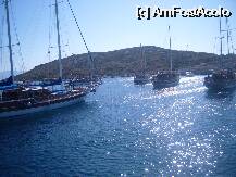[P05] excursie optionala (golful aquarium-ideal pentru snorkelling) » foto by callmevaly
 - 
<span class="allrVoted glyphicon glyphicon-heart hidden" id="av14818"></span>
<a class="m-l-10 hidden" id="sv14818" onclick="voting_Foto_DelVot(,14818,3150)" role="button">șterge vot <span class="glyphicon glyphicon-remove"></span></a>
<a id="v914818" class=" c-red"  onclick="voting_Foto_SetVot(14818)" role="button"><span class="glyphicon glyphicon-heart-empty"></span> <b>LIKE</b> = Votează poza</a> <img class="hidden"  id="f14818W9" src="/imagini/loader.gif" border="0" /><span class="AjErrMes hidden" id="e14818ErM"></span>