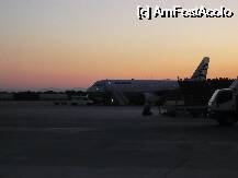 [P32] spre imbarcare in avion, la intoarcerea de pe insula » foto by danoradea
 - 
<span class="allrVoted glyphicon glyphicon-heart hidden" id="av26018"></span>
<a class="m-l-10 hidden" id="sv26018" onclick="voting_Foto_DelVot(,26018,3316)" role="button">șterge vot <span class="glyphicon glyphicon-remove"></span></a>
<a id="v926018" class=" c-red"  onclick="voting_Foto_SetVot(26018)" role="button"><span class="glyphicon glyphicon-heart-empty"></span> <b>LIKE</b> = Votează poza</a> <img class="hidden"  id="f26018W9" src="/imagini/loader.gif" border="0" /><span class="AjErrMes hidden" id="e26018ErM"></span>
