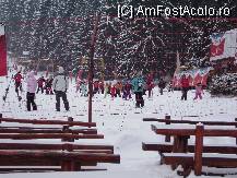 [P04] partia de ski » foto by geni
 - 
<span class="allrVoted glyphicon glyphicon-heart hidden" id="av17659"></span>
<a class="m-l-10 hidden" id="sv17659" onclick="voting_Foto_DelVot(,17659,3321)" role="button">șterge vot <span class="glyphicon glyphicon-remove"></span></a>
<a id="v917659" class=" c-red"  onclick="voting_Foto_SetVot(17659)" role="button"><span class="glyphicon glyphicon-heart-empty"></span> <b>LIKE</b> = Votează poza</a> <img class="hidden"  id="f17659W9" src="/imagini/loader.gif" border="0" /><span class="AjErrMes hidden" id="e17659ErM"></span>