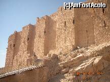 [P10] 'Arabic castle' ce veghea asupra Palmyrei » foto by artemisa24
 - 
<span class="allrVoted glyphicon glyphicon-heart hidden" id="av164650"></span>
<a class="m-l-10 hidden" id="sv164650" onclick="voting_Foto_DelVot(,164650,3383)" role="button">șterge vot <span class="glyphicon glyphicon-remove"></span></a>
<a id="v9164650" class=" c-red"  onclick="voting_Foto_SetVot(164650)" role="button"><span class="glyphicon glyphicon-heart-empty"></span> <b>LIKE</b> = Votează poza</a> <img class="hidden"  id="f164650W9" src="/imagini/loader.gif" border="0" /><span class="AjErrMes hidden" id="e164650ErM"></span>