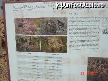 [P17] universitatea din italia a studiat site ul arheologic din sahara libiana » foto by travoice
 - 
<span class="allrVoted glyphicon glyphicon-heart hidden" id="av190383"></span>
<a class="m-l-10 hidden" id="sv190383" onclick="voting_Foto_DelVot(,190383,3410)" role="button">șterge vot <span class="glyphicon glyphicon-remove"></span></a>
<a id="v9190383" class=" c-red"  onclick="voting_Foto_SetVot(190383)" role="button"><span class="glyphicon glyphicon-heart-empty"></span> <b>LIKE</b> = Votează poza</a> <img class="hidden"  id="f190383W9" src="/imagini/loader.gif" border="0" /><span class="AjErrMes hidden" id="e190383ErM"></span>