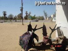 [P22] sa pentru calarit camile. ghat este un orasel, locuit de tuaregi, » foto by travoice
 - 
<span class="allrVoted glyphicon glyphicon-heart hidden" id="av190392"></span>
<a class="m-l-10 hidden" id="sv190392" onclick="voting_Foto_DelVot(,190392,3410)" role="button">șterge vot <span class="glyphicon glyphicon-remove"></span></a>
<a id="v9190392" class=" c-red"  onclick="voting_Foto_SetVot(190392)" role="button"><span class="glyphicon glyphicon-heart-empty"></span> <b>LIKE</b> = Votează poza</a> <img class="hidden"  id="f190392W9" src="/imagini/loader.gif" border="0" /><span class="AjErrMes hidden" id="e190392ErM"></span>
