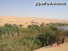 [P31] oaza in sahara libiana » foto by travoice
 - 
<span class="allrVoted glyphicon glyphicon-heart hidden" id="av190406"></span>
<a class="m-l-10 hidden" id="sv190406" onclick="voting_Foto_DelVot(,190406,3410)" role="button">șterge vot <span class="glyphicon glyphicon-remove"></span></a>
<a id="v9190406" class=" c-red"  onclick="voting_Foto_SetVot(190406)" role="button"><span class="glyphicon glyphicon-heart-empty"></span> <b>LIKE</b> = Votează poza</a> <img class="hidden"  id="f190406W9" src="/imagini/loader.gif" border="0" /><span class="AjErrMes hidden" id="e190406ErM"></span>