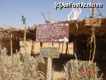 [P33] umbra pe malul lacului » foto by travoice
 - 
<span class="allrVoted glyphicon glyphicon-heart hidden" id="av190410"></span>
<a class="m-l-10 hidden" id="sv190410" onclick="voting_Foto_DelVot(,190410,3410)" role="button">șterge vot <span class="glyphicon glyphicon-remove"></span></a>
<a id="v9190410" class=" c-red"  onclick="voting_Foto_SetVot(190410)" role="button"><span class="glyphicon glyphicon-heart-empty"></span> <b>LIKE</b> = Votează poza</a> <img class="hidden"  id="f190410W9" src="/imagini/loader.gif" border="0" /><span class="AjErrMes hidden" id="e190410ErM"></span>
