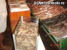 [P46] piata de peste tripoli.RECOMAND la intrare pe dreapta sunt pescarii cu peste viu,iar pe stinga sunt gratarele restaurantelor.comanzi la pescar,alegi gratarul si acesta duce pestele la gatit. asa maninci foarterapid si proaspat. » foto by travoice
 - 
<span class="allrVoted glyphicon glyphicon-heart hidden" id="av190460"></span>
<a class="m-l-10 hidden" id="sv190460" onclick="voting_Foto_DelVot(,190460,3410)" role="button">șterge vot <span class="glyphicon glyphicon-remove"></span></a>
<a id="v9190460" class=" c-red"  onclick="voting_Foto_SetVot(190460)" role="button"><span class="glyphicon glyphicon-heart-empty"></span> <b>LIKE</b> = Votează poza</a> <img class="hidden"  id="f190460W9" src="/imagini/loader.gif" border="0" /><span class="AjErrMes hidden" id="e190460ErM"></span>