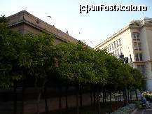 [P08] Portocale pe strazile Atenei » foto by danoradea
 - 
<span class="allrVoted glyphicon glyphicon-heart hidden" id="av24966"></span>
<a class="m-l-10 hidden" id="sv24966" onclick="voting_Foto_DelVot(,24966,3752)" role="button">șterge vot <span class="glyphicon glyphicon-remove"></span></a>
<a id="v924966" class=" c-red"  onclick="voting_Foto_SetVot(24966)" role="button"><span class="glyphicon glyphicon-heart-empty"></span> <b>LIKE</b> = Votează poza</a> <img class="hidden"  id="f24966W9" src="/imagini/loader.gif" border="0" /><span class="AjErrMes hidden" id="e24966ErM"></span>