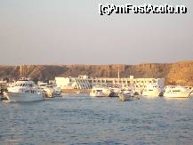 [P04] PORTUL DIN SHARM EL SHEIK » foto by stefania
 - 
<span class="allrVoted glyphicon glyphicon-heart hidden" id="av26698"></span>
<a class="m-l-10 hidden" id="sv26698" onclick="voting_Foto_DelVot(,26698,3833)" role="button">șterge vot <span class="glyphicon glyphicon-remove"></span></a>
<a id="v926698" class=" c-red"  onclick="voting_Foto_SetVot(26698)" role="button"><span class="glyphicon glyphicon-heart-empty"></span> <b>LIKE</b> = Votează poza</a> <img class="hidden"  id="f26698W9" src="/imagini/loader.gif" border="0" /><span class="AjErrMes hidden" id="e26698ErM"></span>