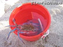 [P05]  -- <small>// FĂRĂ DESCRIERE</small> » foto by rares*
 - 
<span class="allrVoted glyphicon glyphicon-heart hidden" id="av33010"></span>
<a class="m-l-10 hidden" id="sv33010" onclick="voting_Foto_DelVot(,33010,4112)" role="button">șterge vot <span class="glyphicon glyphicon-remove"></span></a>
<a id="v933010" class=" c-red"  onclick="voting_Foto_SetVot(33010)" role="button"><span class="glyphicon glyphicon-heart-empty"></span> <b>LIKE</b> = Votează poza</a> <img class="hidden"  id="f33010W9" src="/imagini/loader.gif" border="0" /><span class="AjErrMes hidden" id="e33010ErM"></span>