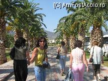 [P09]  -- <small>// FĂRĂ DESCRIERE</small> » foto by rares*
 - 
<span class="allrVoted glyphicon glyphicon-heart hidden" id="av33014"></span>
<a class="m-l-10 hidden" id="sv33014" onclick="voting_Foto_DelVot(,33014,4112)" role="button">șterge vot <span class="glyphicon glyphicon-remove"></span></a>
<a id="v933014" class=" c-red"  onclick="voting_Foto_SetVot(33014)" role="button"><span class="glyphicon glyphicon-heart-empty"></span> <b>LIKE</b> = Votează poza</a> <img class="hidden"  id="f33014W9" src="/imagini/loader.gif" border="0" /><span class="AjErrMes hidden" id="e33014ErM"></span>