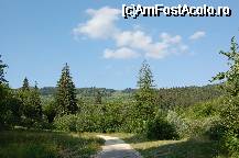 [P17] Covasna » foto by ancamariagadea*
 - 
<span class="allrVoted glyphicon glyphicon-heart hidden" id="av35006"></span>
<a class="m-l-10 hidden" id="sv35006" onclick="voting_Foto_DelVot(,35006,4212)" role="button">șterge vot <span class="glyphicon glyphicon-remove"></span></a>
<a id="v935006" class=" c-red"  onclick="voting_Foto_SetVot(35006)" role="button"><span class="glyphicon glyphicon-heart-empty"></span> <b>LIKE</b> = Votează poza</a> <img class="hidden"  id="f35006W9" src="/imagini/loader.gif" border="0" /><span class="AjErrMes hidden" id="e35006ErM"></span>