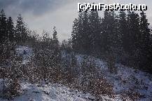 [P23] Peisaj de iarna la Covasna » foto by ancamariagadea*
 - 
<span class="allrVoted glyphicon glyphicon-heart hidden" id="av35013"></span>
<a class="m-l-10 hidden" id="sv35013" onclick="voting_Foto_DelVot(,35013,4212)" role="button">șterge vot <span class="glyphicon glyphicon-remove"></span></a>
<a id="v935013" class=" c-red"  onclick="voting_Foto_SetVot(35013)" role="button"><span class="glyphicon glyphicon-heart-empty"></span> <b>LIKE</b> = Votează poza</a> <img class="hidden"  id="f35013W9" src="/imagini/loader.gif" border="0" /><span class="AjErrMes hidden" id="e35013ErM"></span>