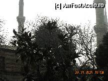 [P146]  -- <small>// FĂRĂ DESCRIERE</small> » foto by EDUARD1
 - 
<span class="allrVoted glyphicon glyphicon-heart hidden" id="av23528"></span>
<a class="m-l-10 hidden" id="sv23528" onclick="voting_Foto_DelVot(,23528,499)" role="button">șterge vot <span class="glyphicon glyphicon-remove"></span></a>
<a id="v923528" class=" c-red"  onclick="voting_Foto_SetVot(23528)" role="button"><span class="glyphicon glyphicon-heart-empty"></span> <b>LIKE</b> = Votează poza</a> <img class="hidden"  id="f23528W9" src="/imagini/loader.gif" border="0" /><span class="AjErrMes hidden" id="e23528ErM"></span>