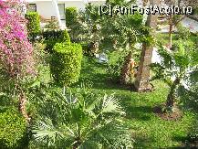 [P01] vedere din balcon asupra minunatei gradini a hotelului » foto by bubica
 - 
<span class="allrVoted glyphicon glyphicon-heart hidden" id="av9394"></span>
<a class="m-l-10 hidden" id="sv9394" onclick="voting_Foto_DelVot(,9394,721)" role="button">șterge vot <span class="glyphicon glyphicon-remove"></span></a>
<a id="v99394" class=" c-red"  onclick="voting_Foto_SetVot(9394)" role="button"><span class="glyphicon glyphicon-heart-empty"></span> <b>LIKE</b> = Votează poza</a> <img class="hidden"  id="f9394W9" src="/imagini/loader.gif" border="0" /><span class="AjErrMes hidden" id="e9394ErM"></span>