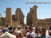 [P05] Luxor templul Karnak  » foto by bubica
 - 
<span class="allrVoted glyphicon glyphicon-heart hidden" id="av9398"></span>
<a class="m-l-10 hidden" id="sv9398" onclick="voting_Foto_DelVot(,9398,721)" role="button">șterge vot <span class="glyphicon glyphicon-remove"></span></a>
<a id="v99398" class=" c-red"  onclick="voting_Foto_SetVot(9398)" role="button"><span class="glyphicon glyphicon-heart-empty"></span> <b>LIKE</b> = Votează poza</a> <img class="hidden"  id="f9398W9" src="/imagini/loader.gif" border="0" /><span class="AjErrMes hidden" id="e9398ErM"></span>