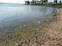 [P14] Eforie Sud Baile Reci ' plaja amenajata '....platesti doar 15 lei la intrare... » foto by realitatea
 - 
<span class="allrVoted glyphicon glyphicon-heart hidden" id="av14095"></span>
<a class="m-l-10 hidden" id="sv14095" onclick="voting_Foto_DelVot(,14095,754)" role="button">șterge vot <span class="glyphicon glyphicon-remove"></span></a>
<a id="v914095" class=" c-red"  onclick="voting_Foto_SetVot(14095)" role="button"><span class="glyphicon glyphicon-heart-empty"></span> <b>LIKE</b> = Votează poza</a> <img class="hidden"  id="f14095W9" src="/imagini/loader.gif" border="0" /><span class="AjErrMes hidden" id="e14095ErM"></span>