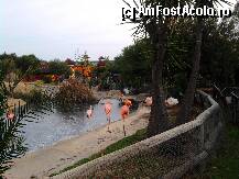[P18] Parcul zoo Friguia. » foto by cristi46
 - 
<span class="allrVoted glyphicon glyphicon-heart hidden" id="av75233"></span>
<a class="m-l-10 hidden" id="sv75233" onclick="voting_Foto_DelVot(,75233,906)" role="button">șterge vot <span class="glyphicon glyphicon-remove"></span></a>
<a id="v975233" class=" c-red"  onclick="voting_Foto_SetVot(75233)" role="button"><span class="glyphicon glyphicon-heart-empty"></span> <b>LIKE</b> = Votează poza</a> <img class="hidden"  id="f75233W9" src="/imagini/loader.gif" border="0" /><span class="AjErrMes hidden" id="e75233ErM"></span>