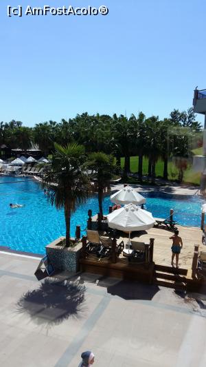 [P42] piscina principala » foto by ioana74
 - 
<span class="allrVoted glyphicon glyphicon-heart hidden" id="av903056"></span>
<a class="m-l-10 hidden" id="sv903056" onclick="voting_Foto_DelVot(,903056,10)" role="button">șterge vot <span class="glyphicon glyphicon-remove"></span></a>
<a id="v9903056" class=" c-red"  onclick="voting_Foto_SetVot(903056)" role="button"><span class="glyphicon glyphicon-heart-empty"></span> <b>LIKE</b> = Votează poza</a> <img class="hidden"  id="f903056W9" src="/imagini/loader.gif" border="0" /><span class="AjErrMes hidden" id="e903056ErM"></span>
