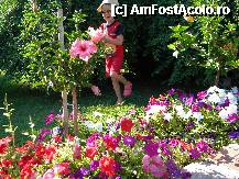 [P12] multe flori si verdeata » foto by dandulea
 - 
<span class="allrVoted glyphicon glyphicon-heart hidden" id="av224115"></span>
<a class="m-l-10 hidden" id="sv224115" onclick="voting_Foto_DelVot(,224115,11)" role="button">șterge vot <span class="glyphicon glyphicon-remove"></span></a>
<a id="v9224115" class=" c-red"  onclick="voting_Foto_SetVot(224115)" role="button"><span class="glyphicon glyphicon-heart-empty"></span> <b>LIKE</b> = Votează poza</a> <img class="hidden"  id="f224115W9" src="/imagini/loader.gif" border="0" /><span class="AjErrMes hidden" id="e224115ErM"></span>