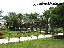 [P13] Alt coltisor de gradina :) » foto by mariacj
 - 
<span class="allrVoted glyphicon glyphicon-heart hidden" id="av214531"></span>
<a class="m-l-10 hidden" id="sv214531" onclick="voting_Foto_DelVot(,214531,11)" role="button">șterge vot <span class="glyphicon glyphicon-remove"></span></a>
<a id="v9214531" class=" c-red"  onclick="voting_Foto_SetVot(214531)" role="button"><span class="glyphicon glyphicon-heart-empty"></span> <b>LIKE</b> = Votează poza</a> <img class="hidden"  id="f214531W9" src="/imagini/loader.gif" border="0" /><span class="AjErrMes hidden" id="e214531ErM"></span>