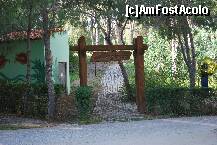 [P16] pentru cei care doresc o plimbare prin padurice » foto by Anturium
 - 
<span class="allrVoted glyphicon glyphicon-heart hidden" id="av231789"></span>
<a class="m-l-10 hidden" id="sv231789" onclick="voting_Foto_DelVot(,231789,11)" role="button">șterge vot <span class="glyphicon glyphicon-remove"></span></a>
<a id="v9231789" class=" c-red"  onclick="voting_Foto_SetVot(231789)" role="button"><span class="glyphicon glyphicon-heart-empty"></span> <b>LIKE</b> = Votează poza</a> <img class="hidden"  id="f231789W9" src="/imagini/loader.gif" border="0" /><span class="AjErrMes hidden" id="e231789ErM"></span>