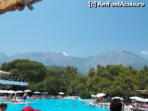 [P01] Piscina și muntele!  » foto by T&T*
 - 
<span class="allrVoted glyphicon glyphicon-heart hidden" id="av653303"></span>
<a class="m-l-10 hidden" id="sv653303" onclick="voting_Foto_DelVot(,653303,111)" role="button">șterge vot <span class="glyphicon glyphicon-remove"></span></a>
<a id="v9653303" class=" c-red"  onclick="voting_Foto_SetVot(653303)" role="button"><span class="glyphicon glyphicon-heart-empty"></span> <b>LIKE</b> = Votează poza</a> <img class="hidden"  id="f653303W9" src="/imagini/loader.gif" border="0" /><span class="AjErrMes hidden" id="e653303ErM"></span>